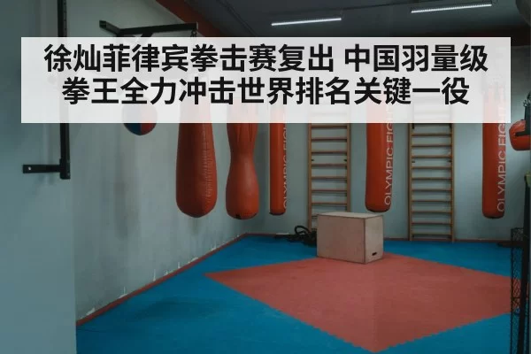 徐灿菲律宾拳击赛复出 中国羽量级拳王全力冲击世界排名关键一役