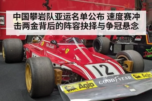 中国攀岩队亚运名单公布 速度赛冲击两金背后的阵容抉择与争冠悬念